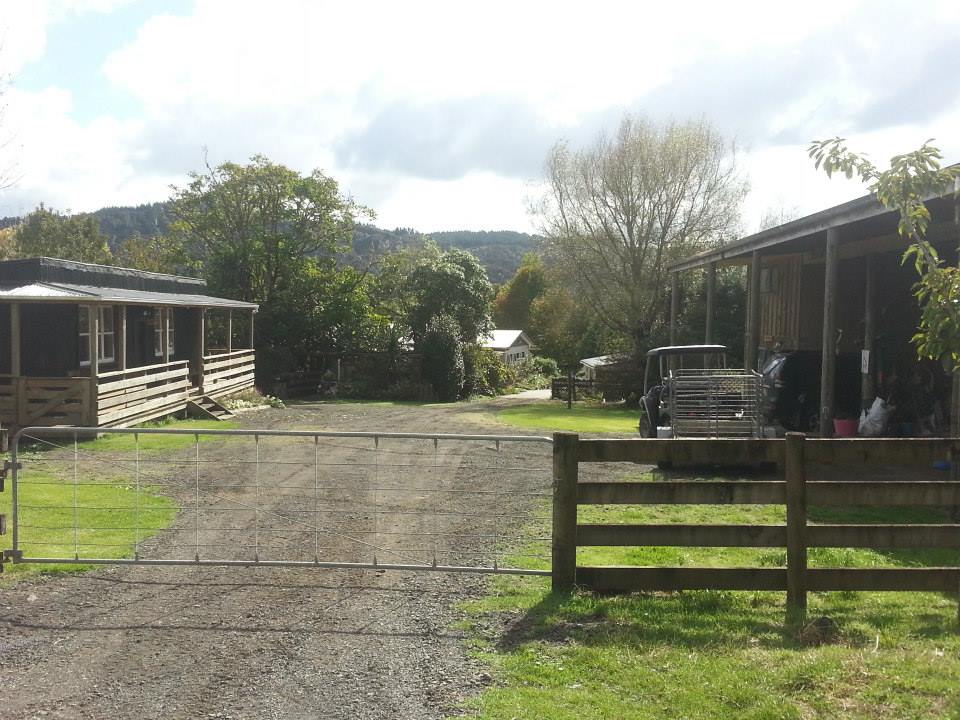 オークランド　ニュージーランド　画像