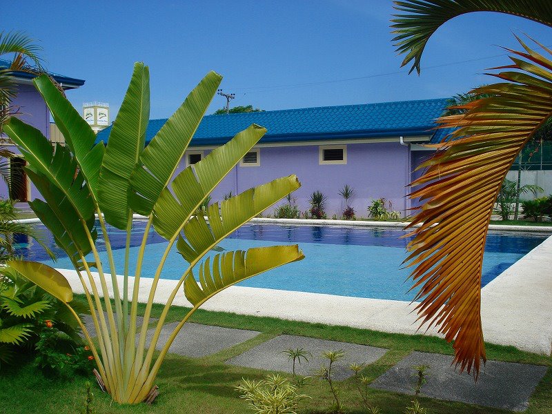 セブ　フィリピン