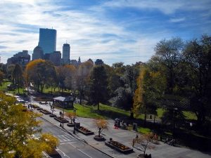 FLS_Boston_Commons_Area_Highlights-(37)