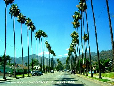 Los_Angeles (1)