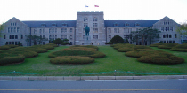 高麗大学