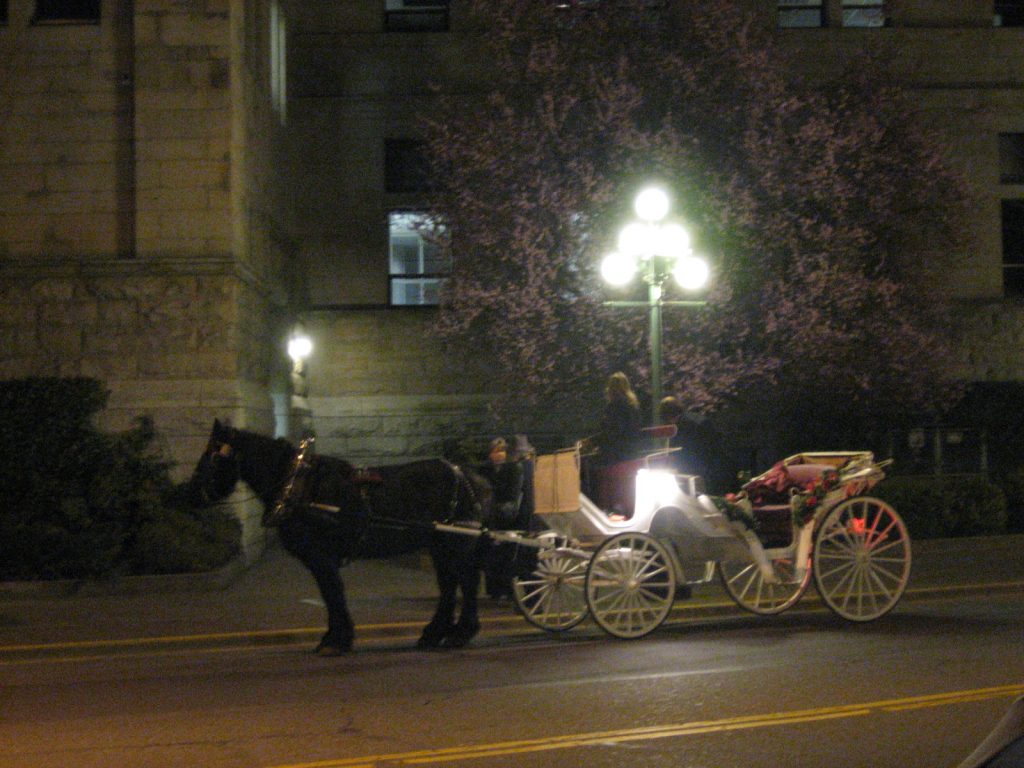 照らし出された街灯の側に馬車がある。