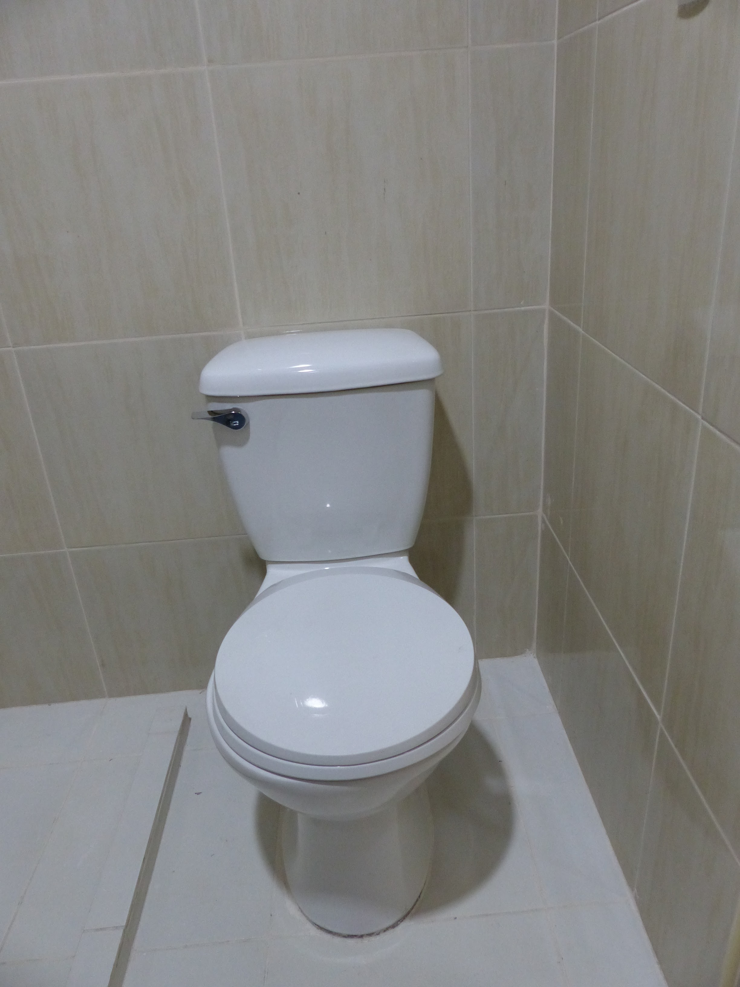 toilet