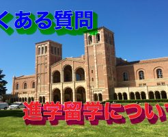 進学留学についてのバナー