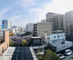 スクールのベランダからの景色