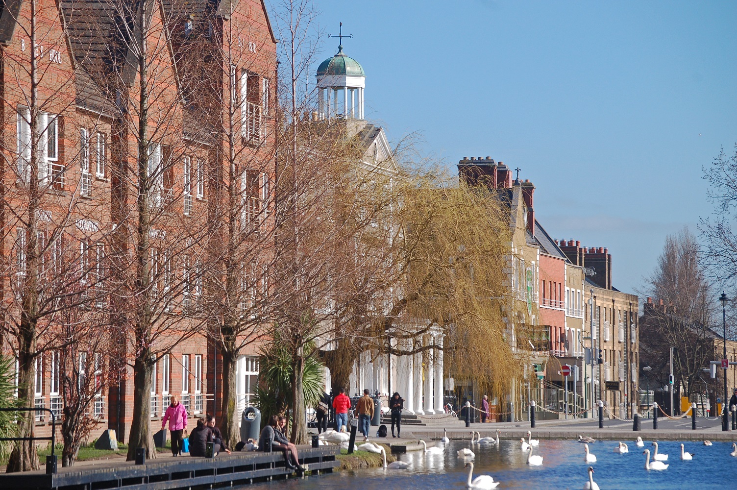 Along the Canal