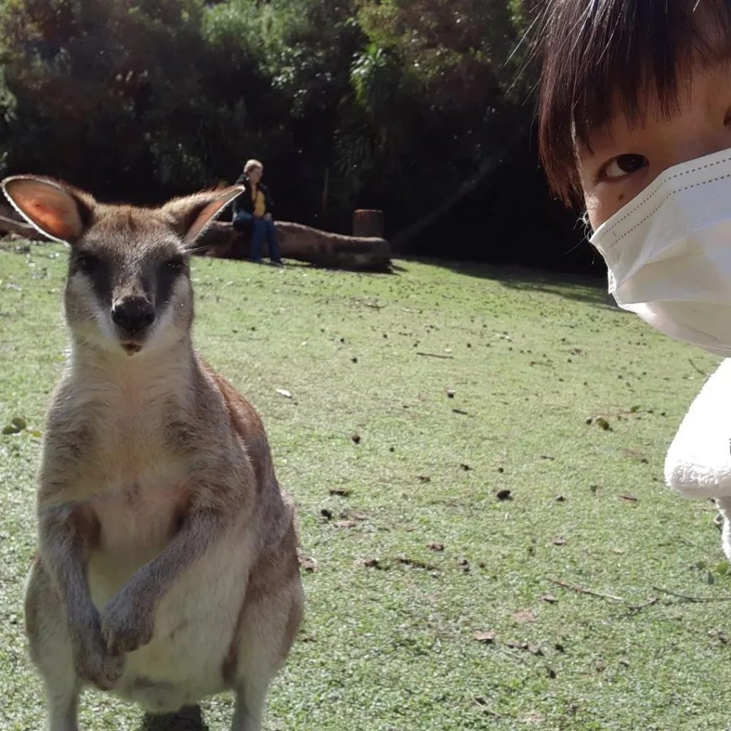 カンガルーと一緒に