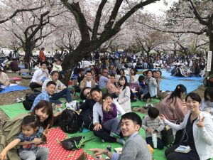 お花見をしている