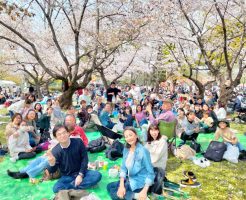 お花見イベント