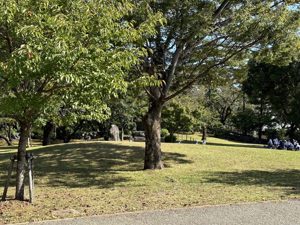 公園内の風景